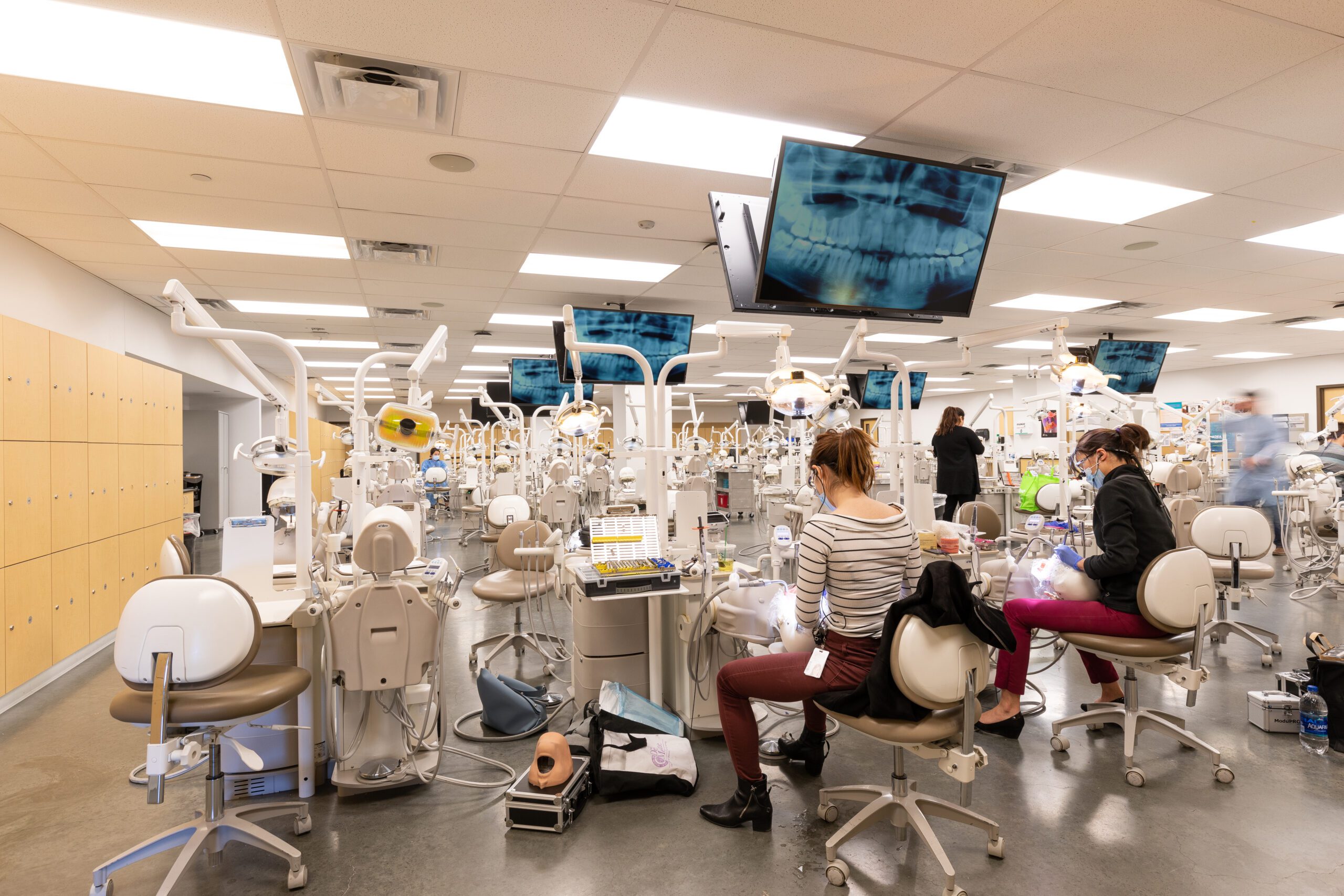 Wide shot of dental simulation lab