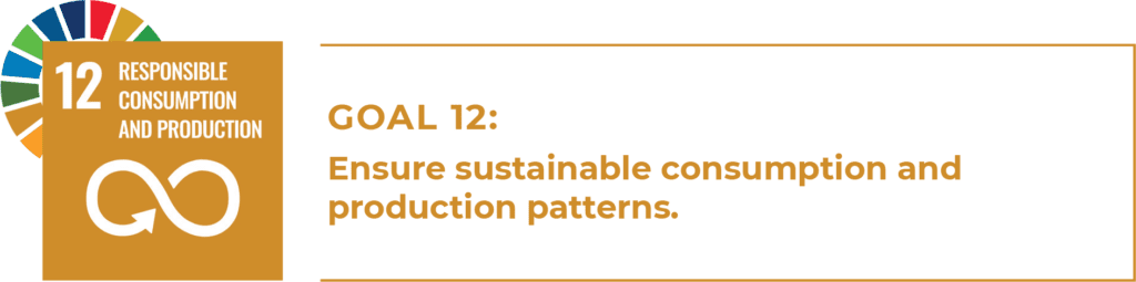 12 Responsible Consumption and Production
Goal 12: Ensure sustainable consumption and production patterns.